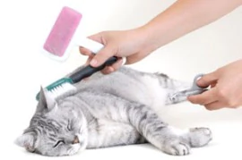 CARDINA GRANDE PROFESIONAL MARCA ANDIS PARA CEPILLAR PERROS Y GATOS - 65710 ó 68540 - comprar online