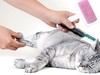 SHAMPOO DOUBLE MARCA OSSPRET POR 250 ml. * SHAMPOO + ENJUAGUE PARA PERROS Y GATOS en internet