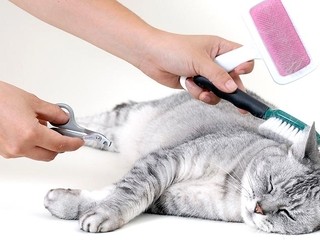 SHAMPOO DOUBLE MARCA OSSPRET POR 250 ml. * SHAMPOO + ENJUAGUE PARA PERROS Y GATOS en internet