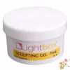 POWER SEAL / TOP GEL MARCA LIGHTBOX POR 20 Grs. - TODOPELUQUERIAS
