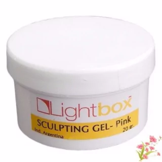 POWER SEAL / TOP GEL MARCA LIGHTBOX POR 20 Grs. - TODOPELUQUERIAS
