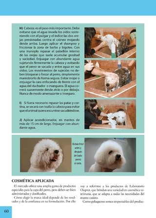 Imagen de LIBRO EL ARTE DE LA PELUQUERIA CANINA - Daniela Scolaro