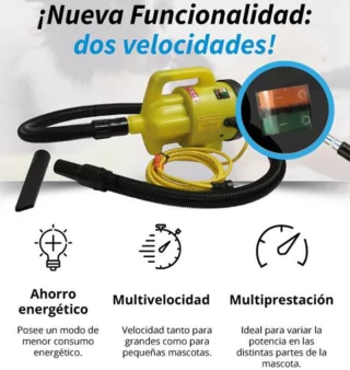 TURBINA SECADORA SOPLADORA MARCA DIXTER MODELO 2801 FRIO SOLO * 2 VELOCIDADES - comprar online