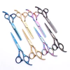 KIT 2 TIJERAS PROFESIONALES DECORADAS NEGRAS DE CORTE FILO NAVAJA + PULIR DE 5,5 PULGADAS + PORTATIJERAS AN841N (SA) - TODOPELUQUERIAS