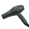 SECADOR PROFESIONAL MARCA VIGGO MODELO CLASSIC X CON 2200 WATT V-208 en internet