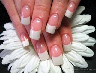 Imagen de KIT UÑAS GELIFICADAS UV MARCA FENGSHANGMEI PARA CABINA UV ó LED * 40/80 PIEZAS