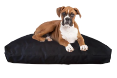 FUNDA PARA CAMA DE PERRO MEDIANO 90X60X10