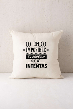 Funda de almohadon 50x50 con frases en internet