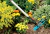 Azada 2 puntas Gardena 3218-20 - comprar online