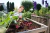 Rastrillo Aireador Escarificador Jardin Gardena 08957-20 en internet