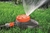 Aspersor difusor Gardena 6 superficies 2073 - ferreteriapalermo