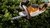 Cortacerco a bateria STIHL HSA 56 - comprar online