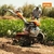 Motocultivador STIHL MH710 - comprar online