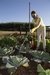 Pulverizador manual STIHL SG31 en internet