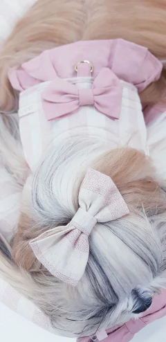 Imagem do Colete Peitoral e Guia Pata Chic - Linn Rose