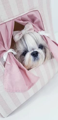 Imagem do Casinha Pata Chic - Linn Rose