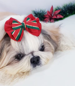 Laço de Topete Joy 10cm c/elastico - Natal na internet