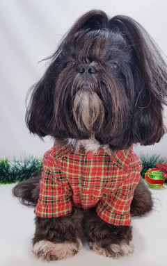 Camisa com Manga Pata Chic - Xadrez Natalino - comprar online