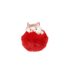 C8202 Pet Fruby na internet