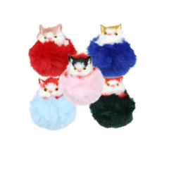 C8202 Pet Fruby