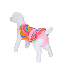 Conjunto Calcinha Saia + Cropped Pata Chic Verão'25 - Arco íris - comprar online