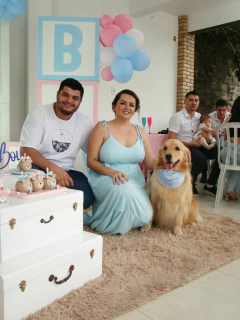 Imagem do Bandana Pet Chá Revelação - Menino ou Menina