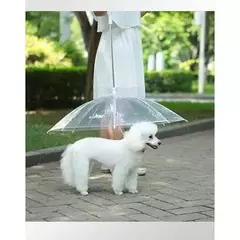 Guarda Chuva Pet Cachorro com Guia e Mosquetão - loja online