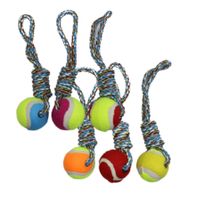 J1016 Dog Toy Corda Bola