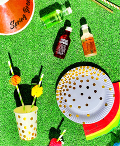 COMBO PICNIC ABSOLUT - comprar online