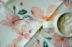 Repasador PICAFLOR en internet