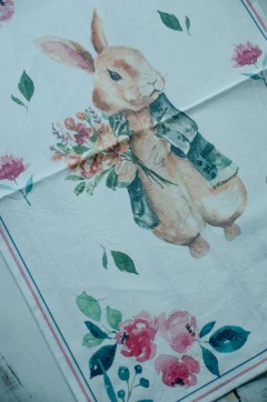 Repasador conejo en internet