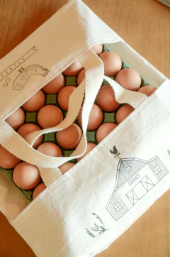 Bolsa porta maple de huevo - piopio-objetos