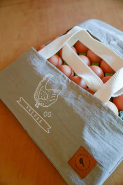 Bolsa porta maple de huevo en internet