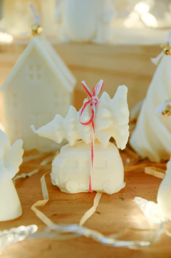 Box santa + combi & pinito - tienda online