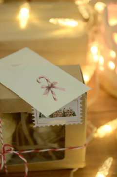 Box navideña pesebre - comprar online