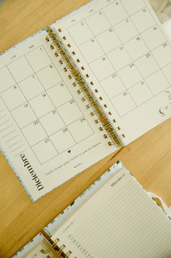 Agenda diaria pajaritos - comprar online