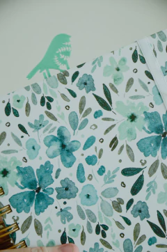 Agenda semanal Pajaritos en internet