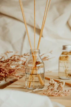 Difusor varillas 100cc en internet