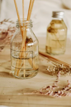 Imagen de Difusor varillas 100cc