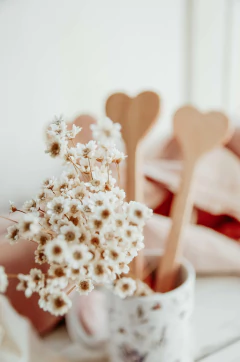 Espátula madera corazón en internet