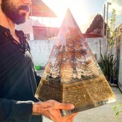 TITAN Prosperity Tree - buy online