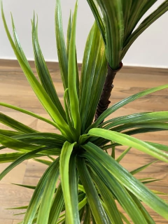 Yucca artificial 1,45 metros (Verde) com 3 troncos