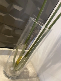 Imagem do Vaso de vidro com papyrus artificial 65cm
