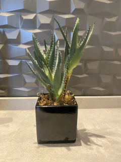 Arranjo aloe permanente 29cm