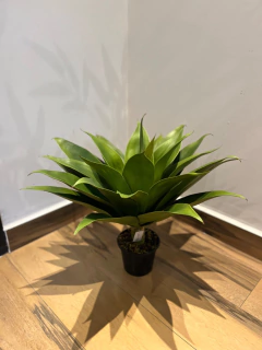 Imagem do agave permanente - 52cm