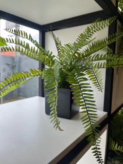 Arranjo x1 Samambaia permanente 40cm - loja online