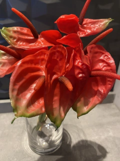 Buquê x7 Anturio vermelho Artifical 38cm - Cristal Garden