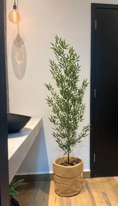 bambu reto 1,50 metros completo com cesto em veludo - Cristal Garden