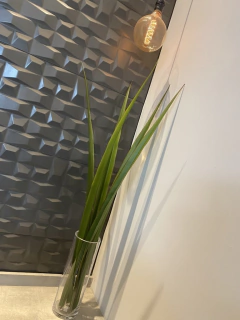 Vaso de vidro com x 6 folha de Formio permanente 95cm - comprar online