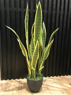 Espada de São Jorge -com pote x22 - amarela 65cm - comprar online